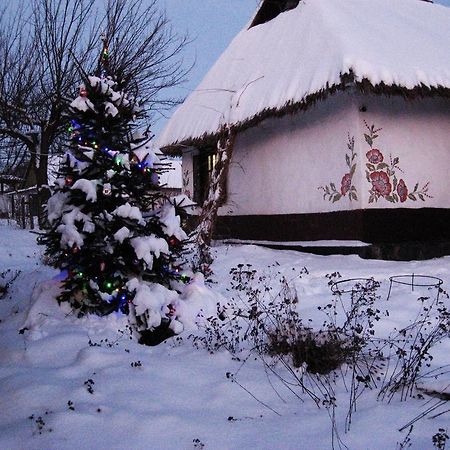 Hostal Koryakivskyi Rai Dmitrenki Exterior foto