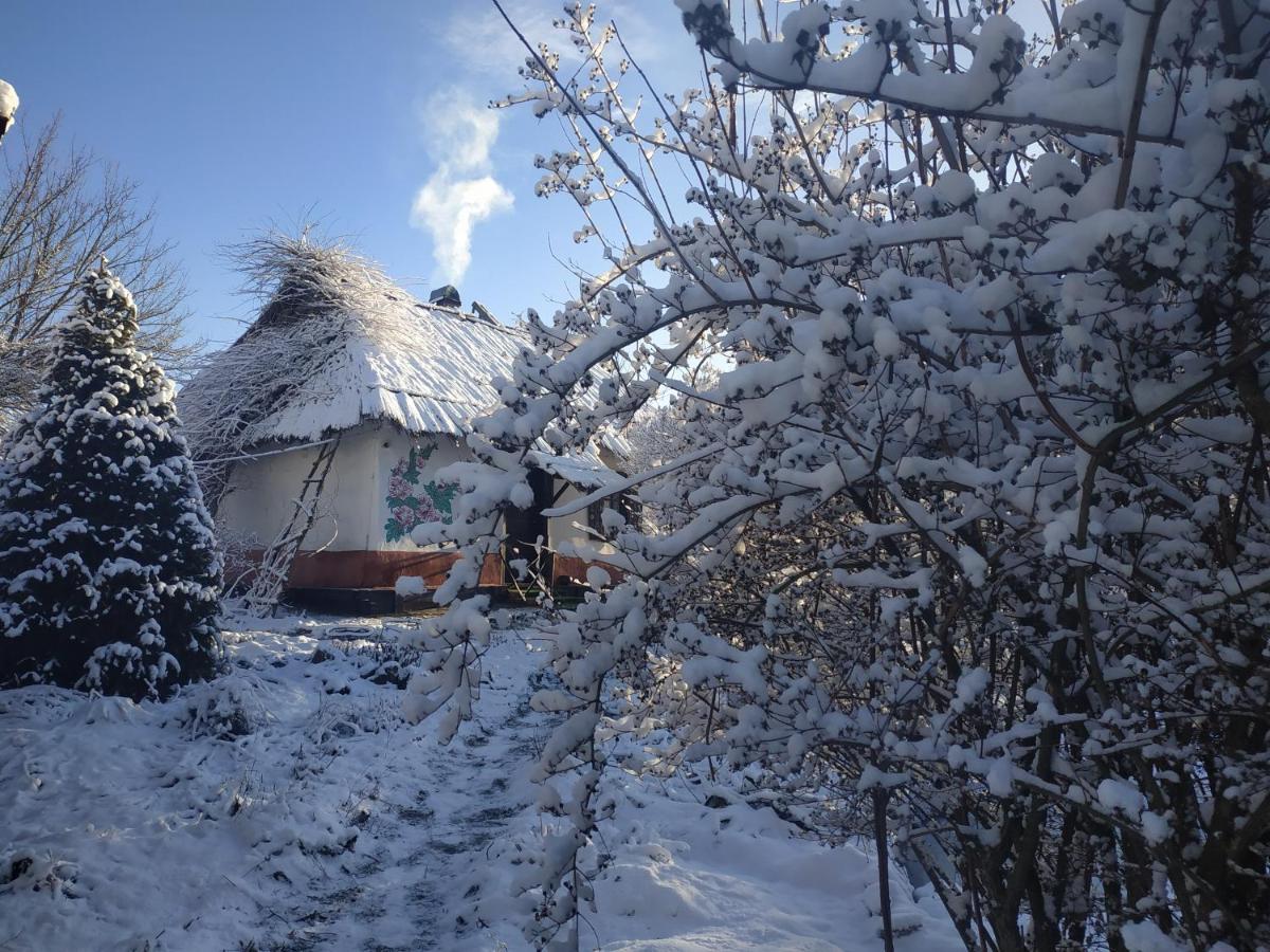 Hostal Koryakivskyi Rai Dmitrenki Exterior foto