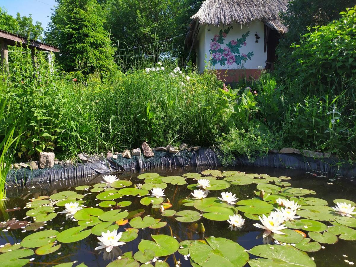 Hostal Koryakivskyi Rai Dmitrenki Exterior foto