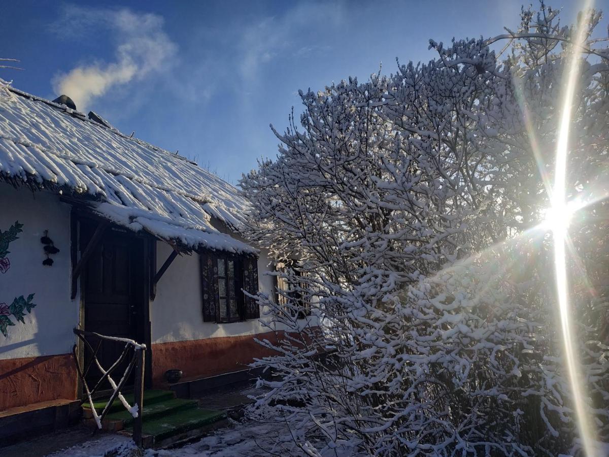 Hostal Koryakivskyi Rai Dmitrenki Exterior foto