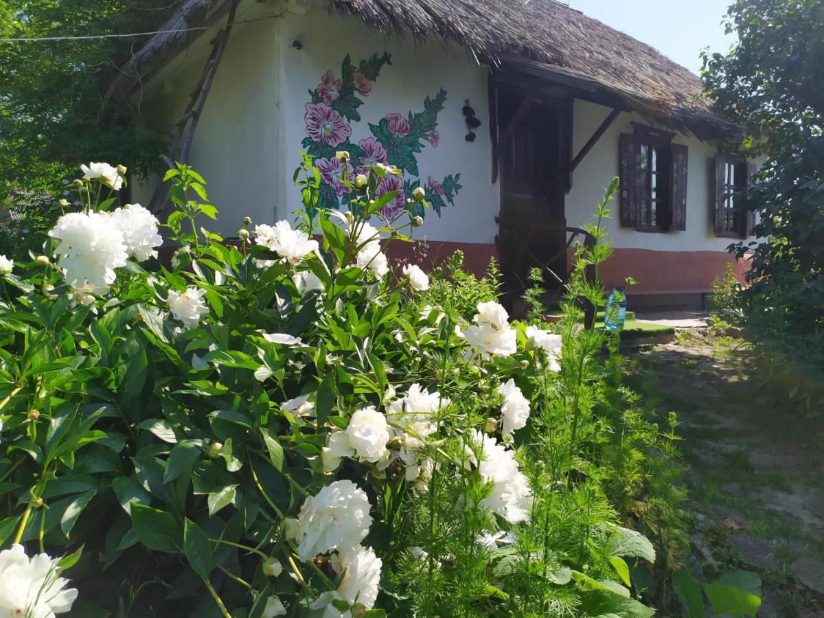 Hostal Koryakivskyi Rai Dmitrenki Exterior foto