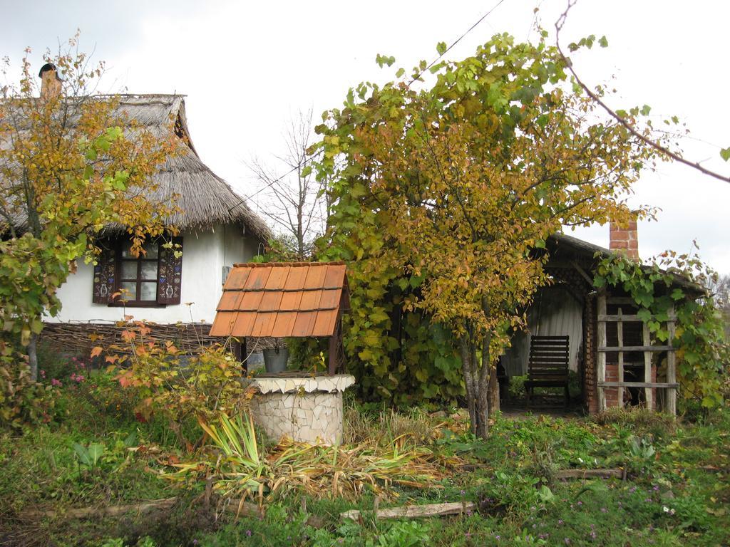 Hostal Koryakivskyi Rai Dmitrenki Exterior foto