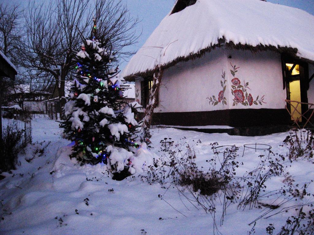 Hostal Koryakivskyi Rai Dmitrenki Exterior foto