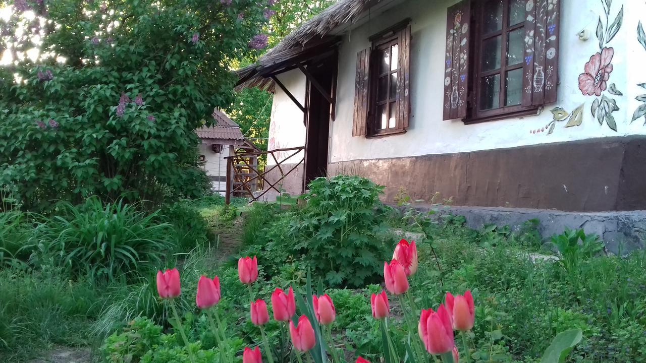 Hostal Koryakivskyi Rai Dmitrenki Exterior foto
