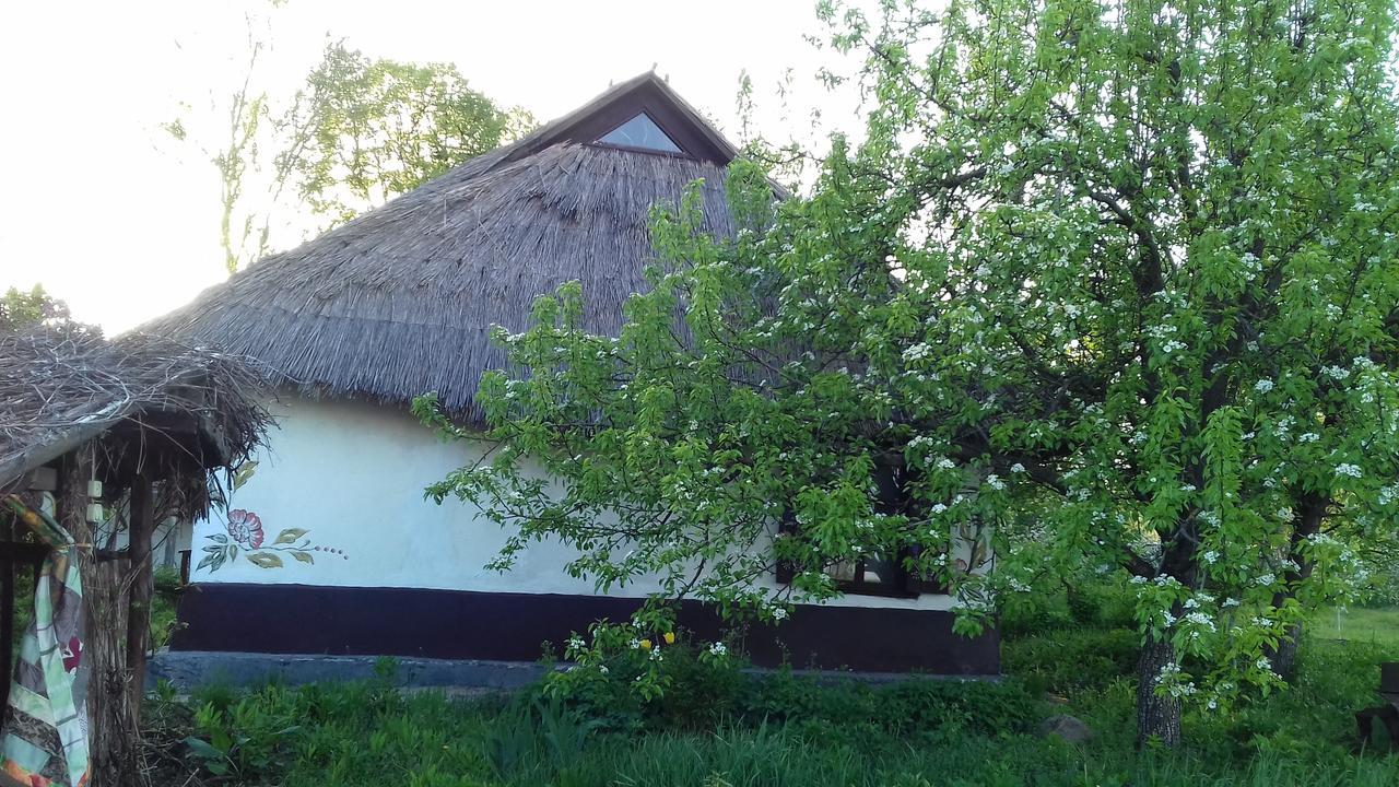 Hostal Koryakivskyi Rai Dmitrenki Exterior foto