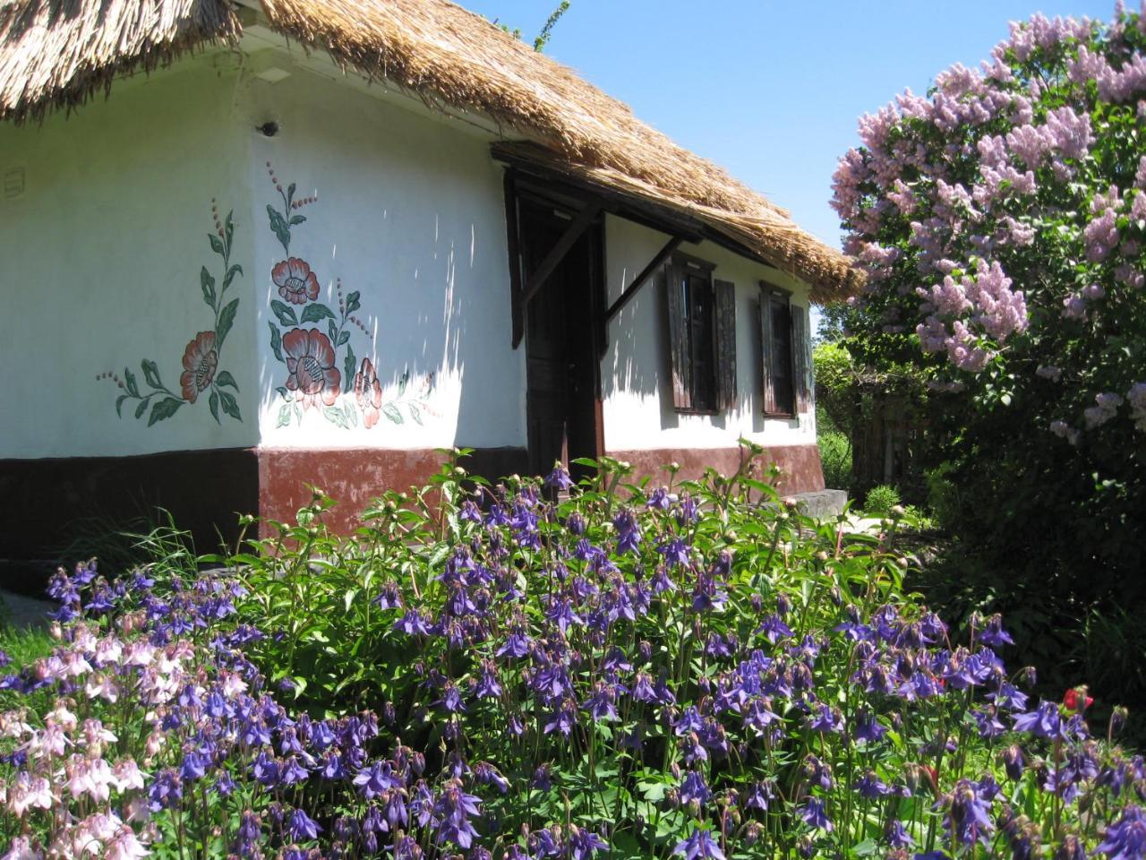 Hostal Koryakivskyi Rai Dmitrenki Exterior foto