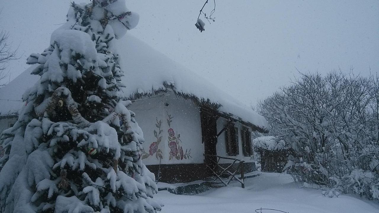 Hostal Koryakivskyi Rai Dmitrenki Exterior foto