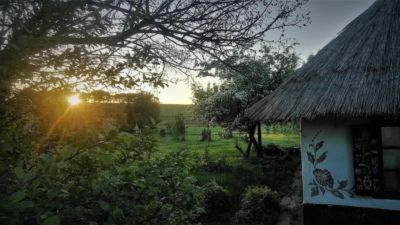 Hostal Koryakivskyi Rai Dmitrenki Exterior foto